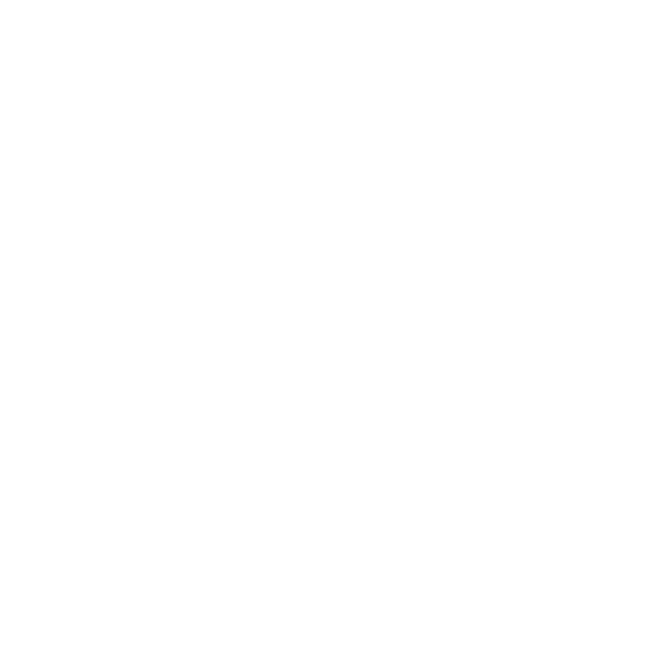 R.Nelson Photography Logo